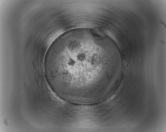 X0000103161087200809051654