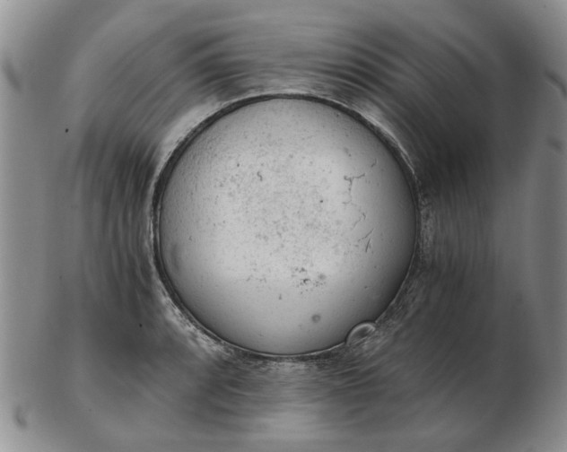 X0000103161088200809051654