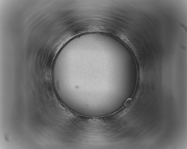 X0000103161089200809051654