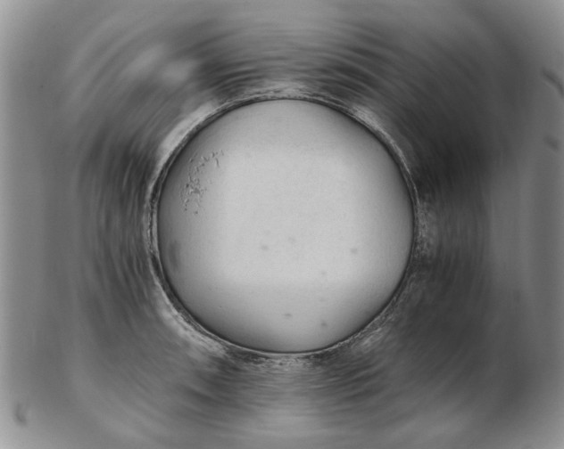 X0000103161090200809051654