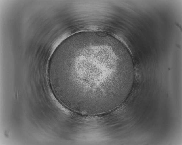 X0000103161091200809051654