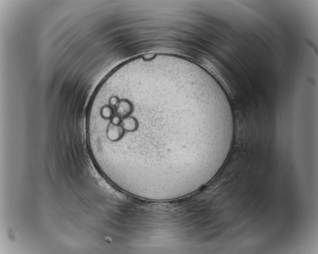 X0000103161092200809051654