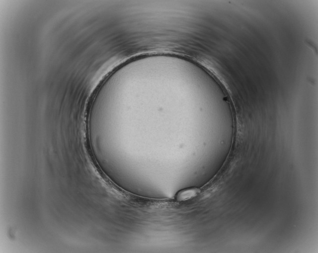 X0000103161093200809051654