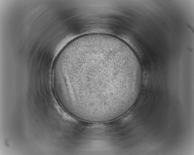 X0000103161094200809051654