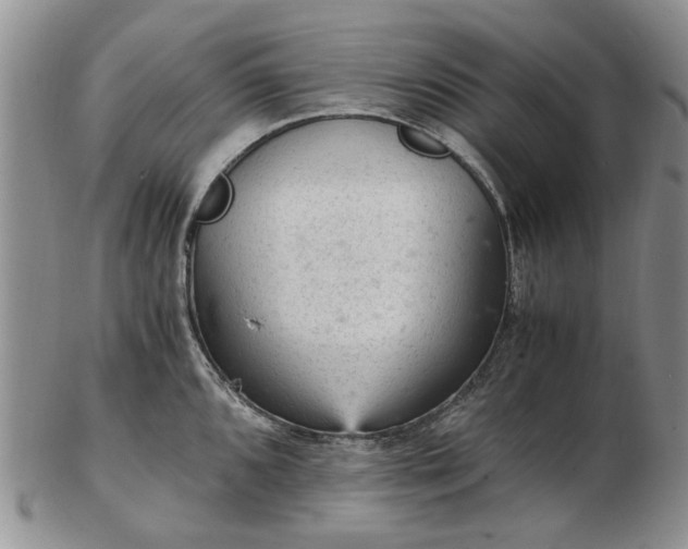 X0000103161096200809051654