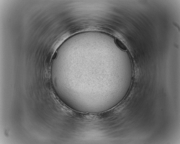 X0000103161097200809051654