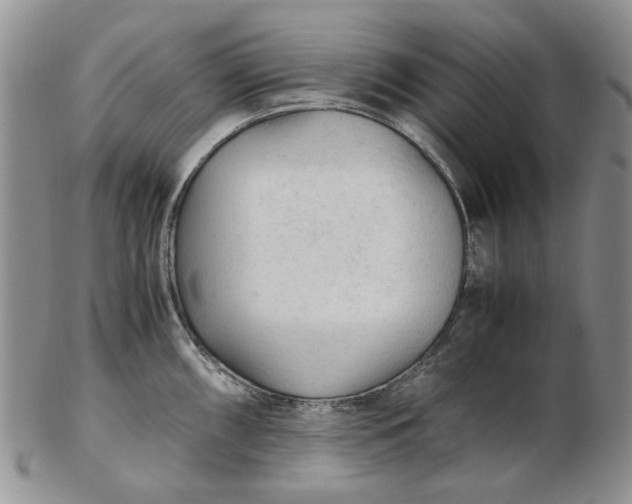 X0000103161098200809051654