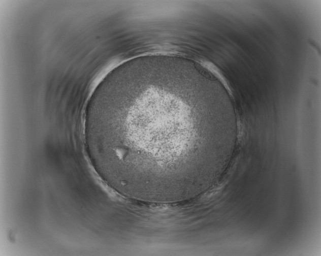 X0000103161099200809051654