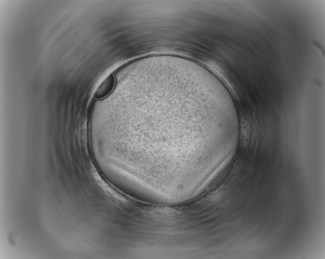 X0000103161100200809051654