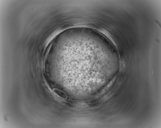 X0000103161101200809051654