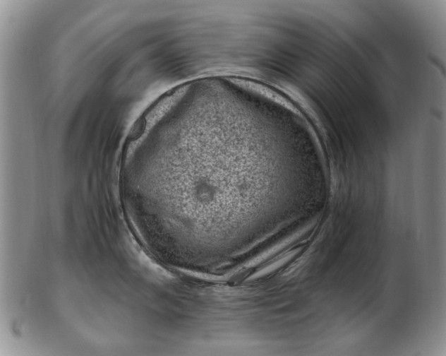 X0000103161102200809051654