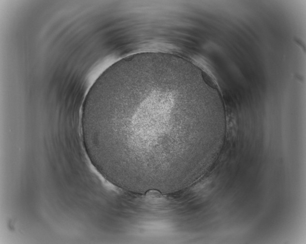 X0000103161103200809051654