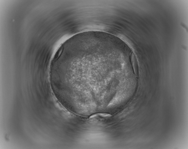 X0000103161104200809051654