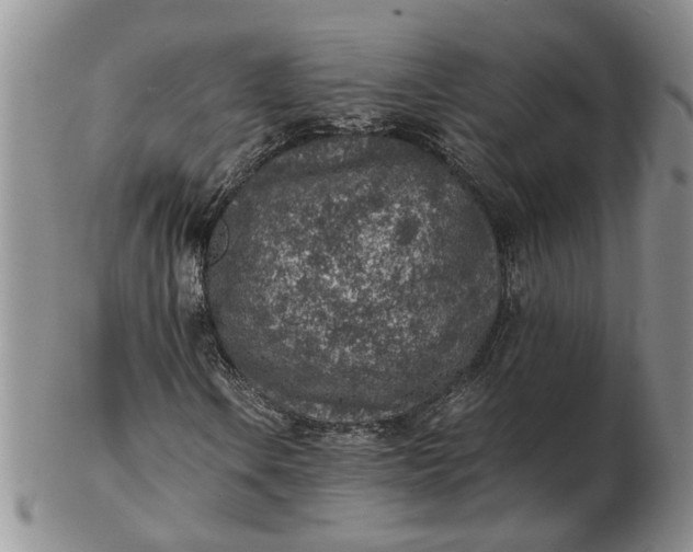 X0000103161106200809051653