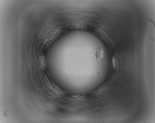 X0000103161107200809051653