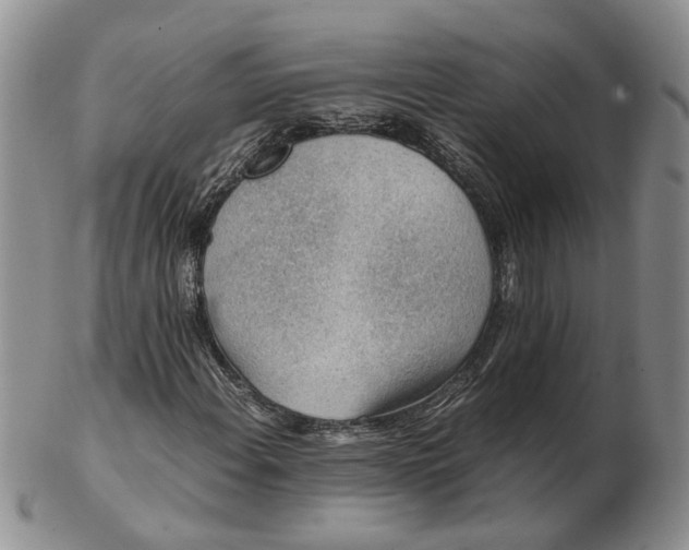 X0000103161108200809051653