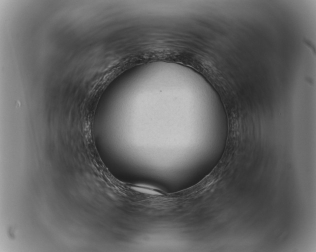 X0000103161109200809051653