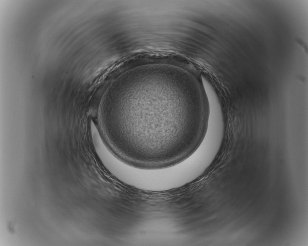 X0000103161110200809051653