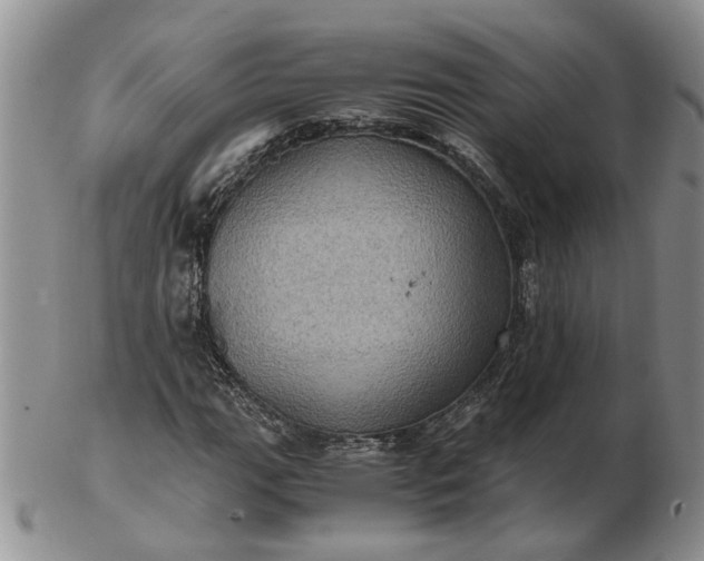 X0000103161111200809051653