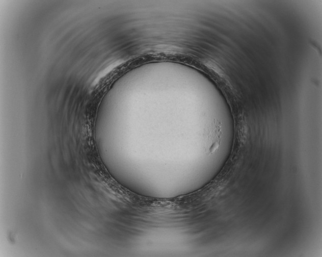 X0000103161112200809051653