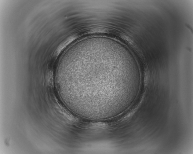 X0000103161113200809051653