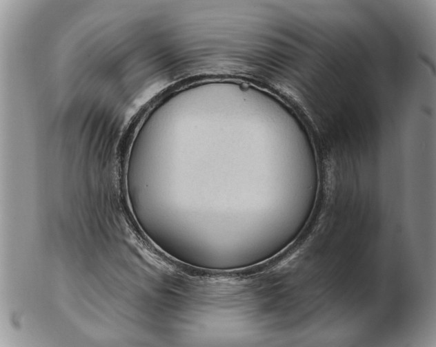 X0000103161114200809051653