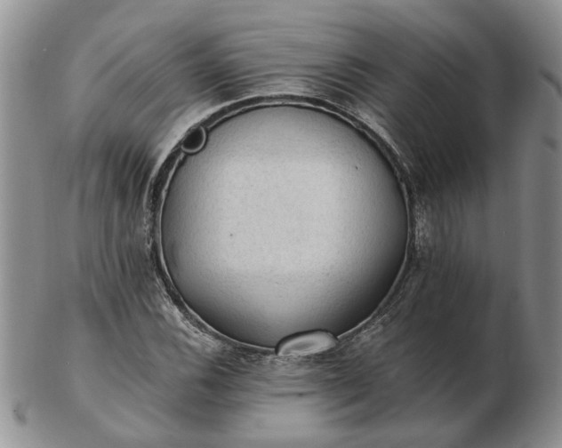 X0000103161116200809051653