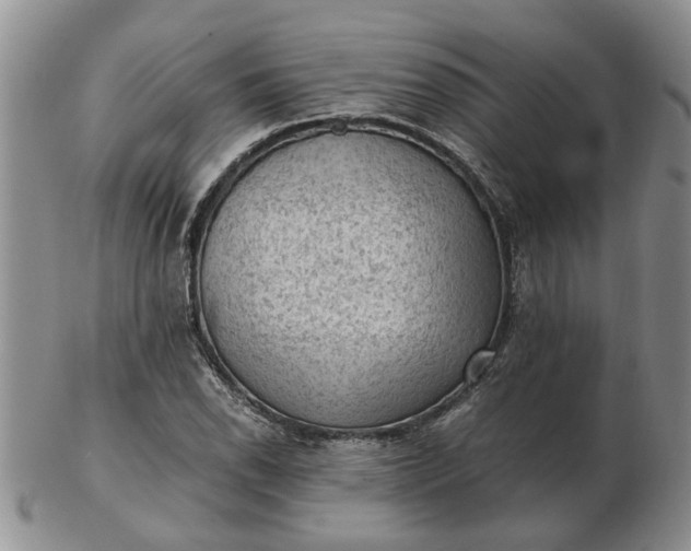 X0000103161118200809051653