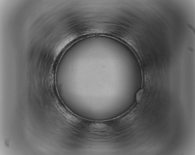 X0000103161119200809051653