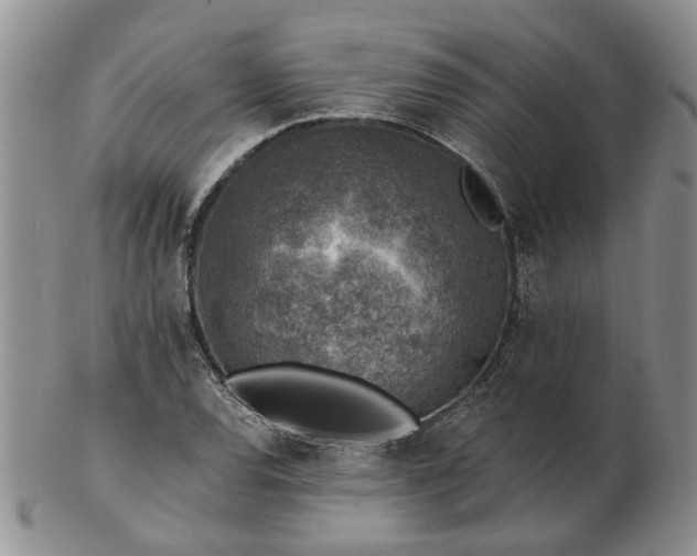 X0000103161120200809051653