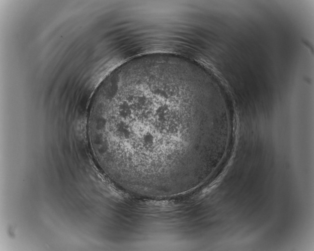 X0000103161121200809051653