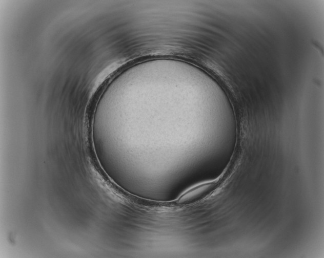 X0000103161122200809051653