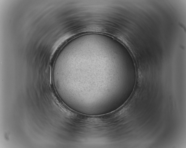 X0000103161123200809051653