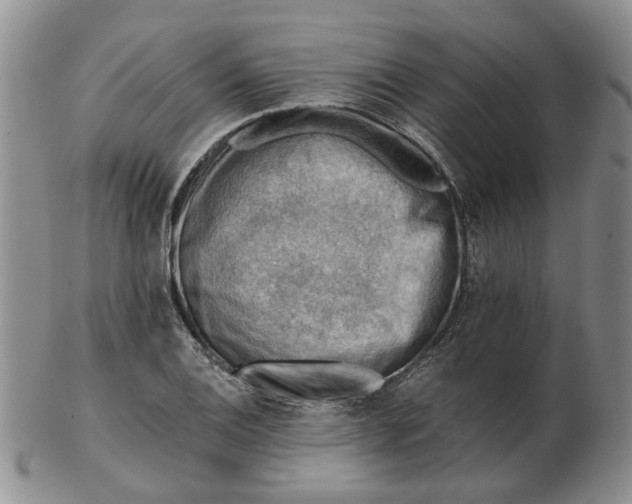 X0000103161124200809051653