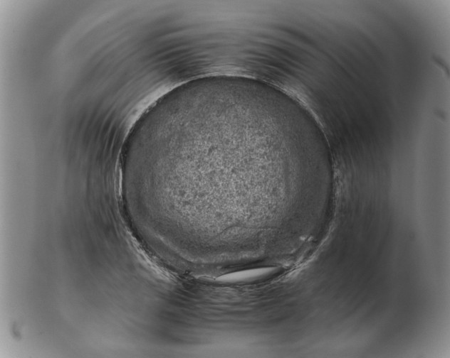 X0000103161125200809051653