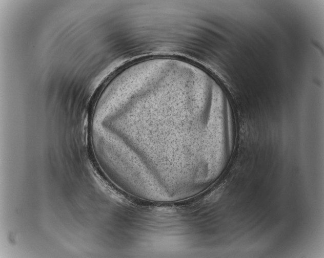 X0000103161126200809051653