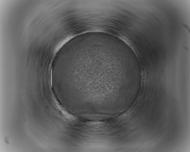 X0000103161127200809051653