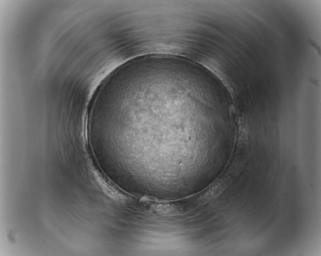 X0000103161128200809051653