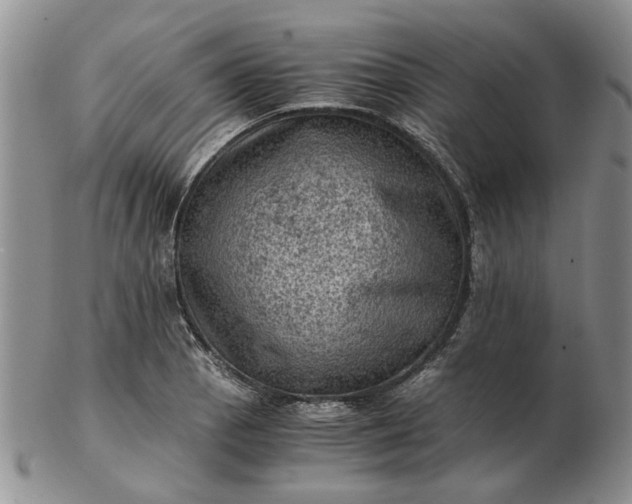 X0000103161129200809051653