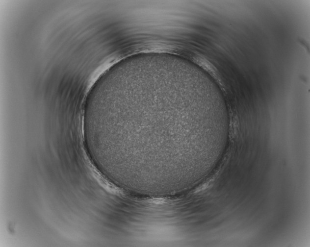 X0000103161130200809051653