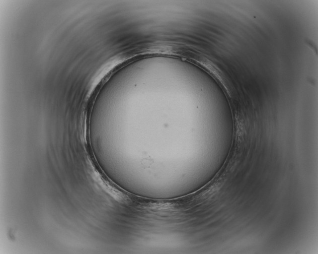 X0000103161131200809051653