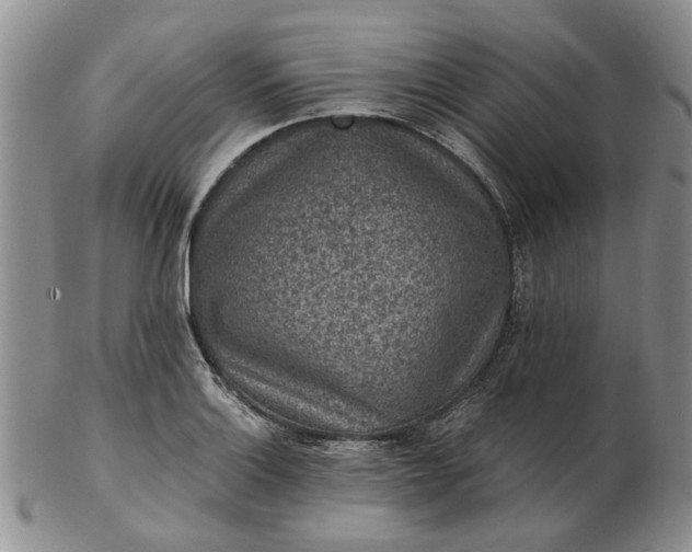 X0000103161132200809051653