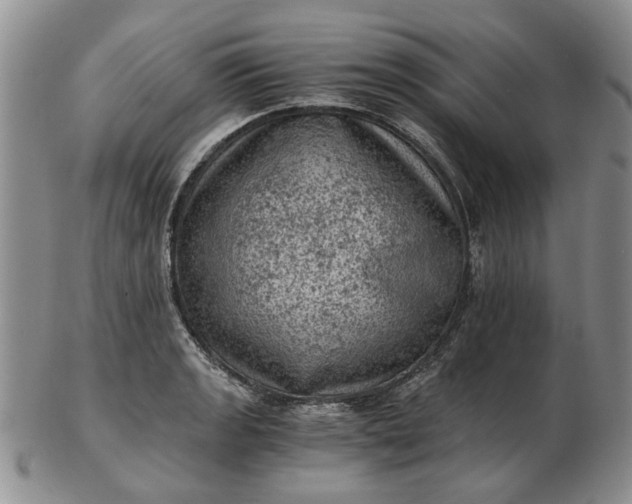 X0000103161133200809051653