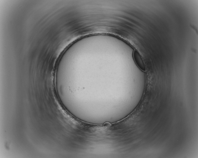 X0000103161134200809051653