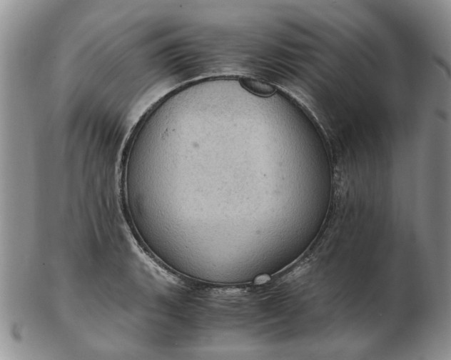 X0000103161135200809051653