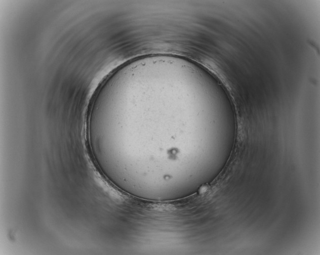 X0000103161136200809051653