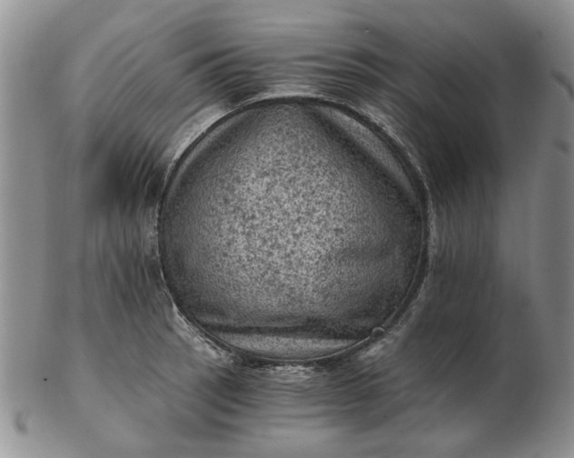 X0000103161137200809051653