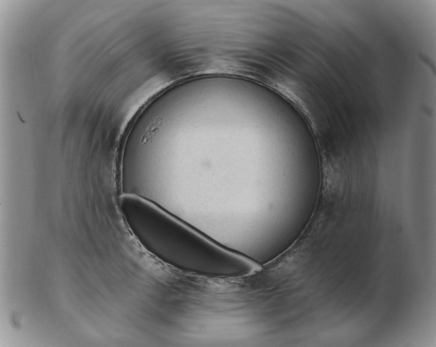 X0000103161138200809051653