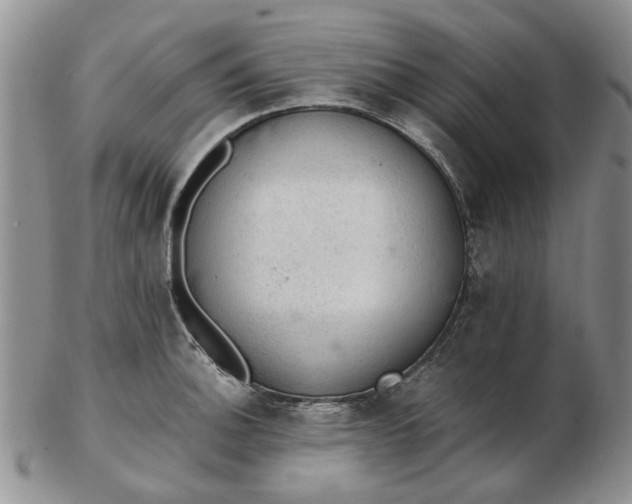 X0000103161140200809051654