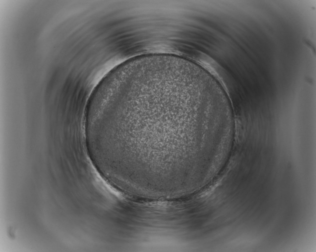 X0000103161141200809051654